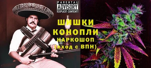 PSILOCYBIN Лиски