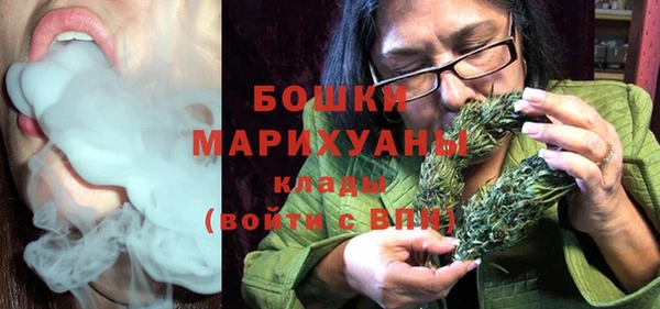 PSILOCYBIN Лиски