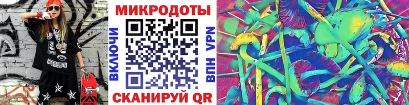 дарк нет наркотические препараты  Шимановск  Псилоцибиновые грибы Magic Shrooms 